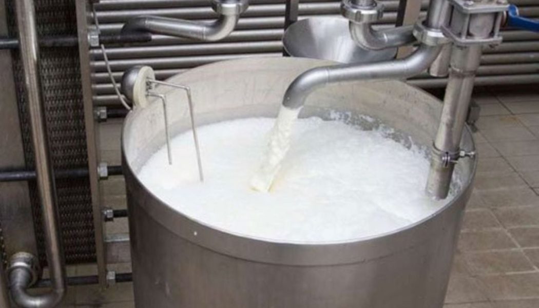 Milk intake by processors up 28pc on increased production