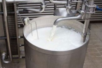 Milk intake by processors up 28pc on increased production