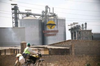 Revealed: Sh14bn KCB, Absa exposure in Savannah Cement