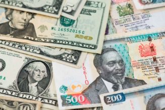 Shilling is gaining value, but don’t expect it to last, expert says