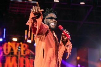 14 American Songs That Burna Boy Has Sampled or Interpolated