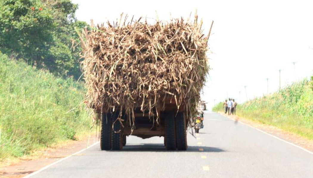 Cane farmers, millers lock horns over prices review