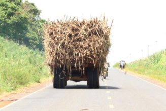 Cane farmers, millers lock horns over prices review