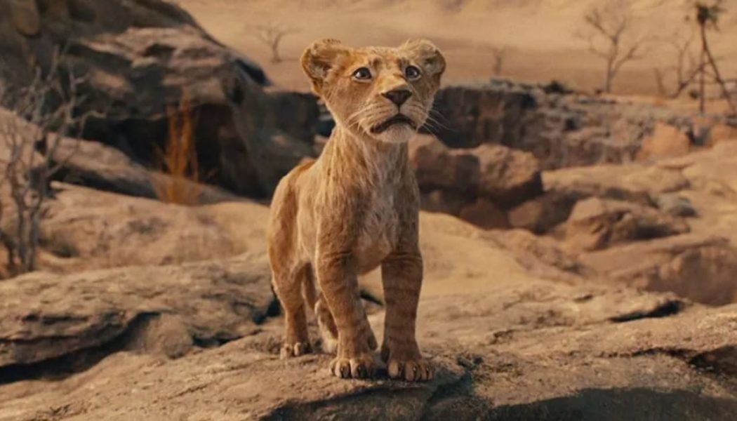 Check Out the Trailer for Disney’s Live-Action ‘Lion King’ Prequel, ‘Mufasa’