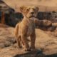 Check Out the Trailer for Disney’s Live-Action ‘Lion King’ Prequel, ‘Mufasa’