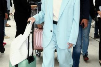 Elle Fanning Wore the Posh Airport Outfit I'd Ditch My Leggings For