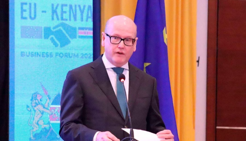 European Investment Bank pumps Sh3.5bn in Amethis, eyes small firms