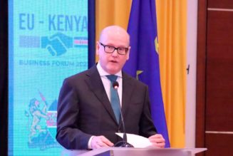 European Investment Bank pumps Sh3.5bn in Amethis, eyes small firms