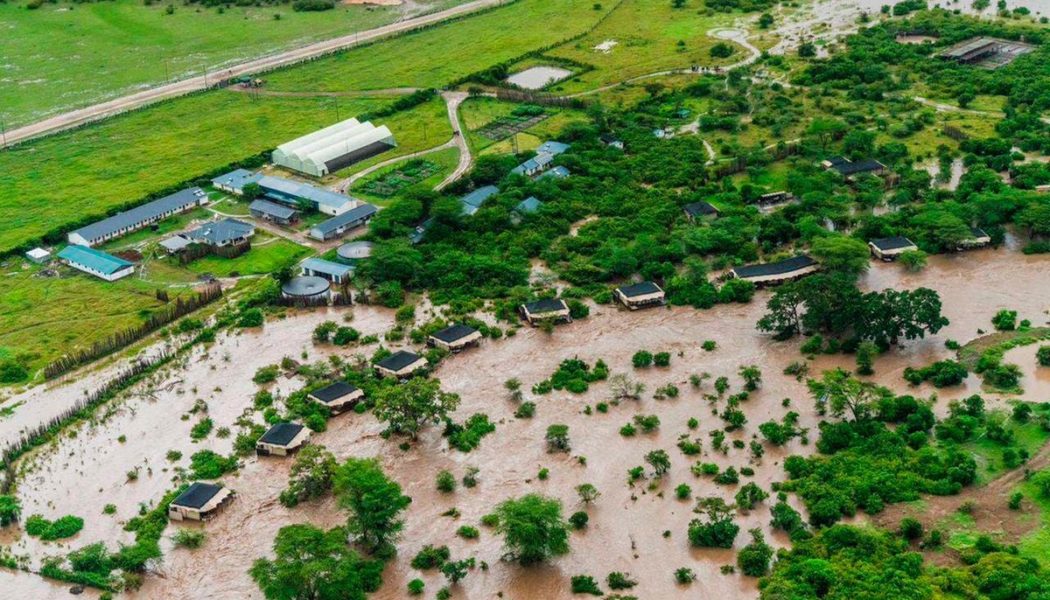 Floods destroy lodges, kill animals in the Mara