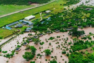 Floods destroy lodges, kill animals in the Mara