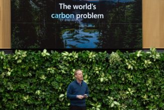 Microsoft ramps up plans to capture carbon from burning wood