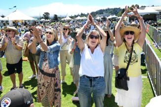 Mill Valley Music Festival draws festive crowd