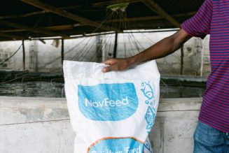 NovFeed: Turning Fruit into Fish