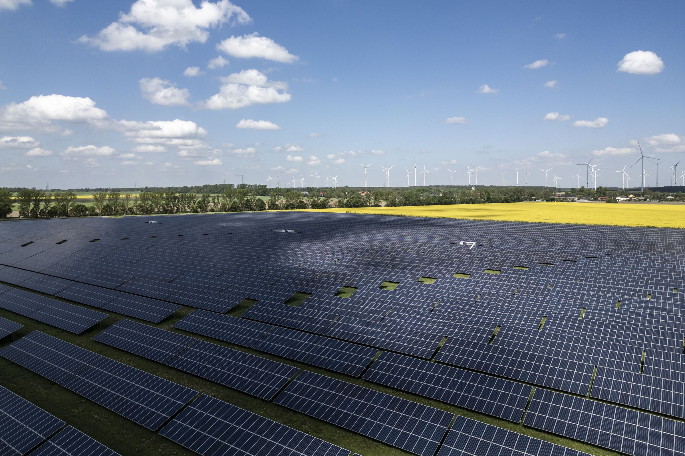 Solar panels in the forefront with windmills behind them under a blue sky on a sunny day.