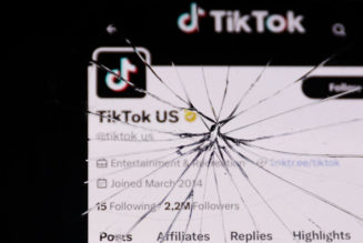 TikTok Slaps US Government With Lawsuit Over Potential Ban