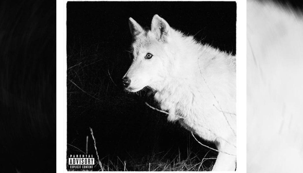 Zacari Rolls Solo on "Lonewolf Still"