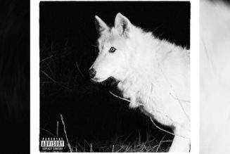 Zacari Rolls Solo on "Lonewolf Still"