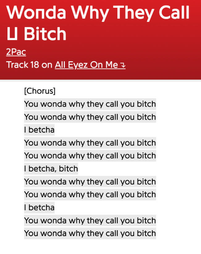 "Wonda Why They Call U Bitch" lyrics