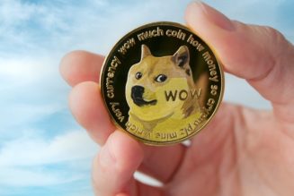 Arthur Hayes, Raoul Pal Predict Dogecoin ETF: 'If People Wait In Line For Luxury Brands, They Will Trade Meme Coins Online'