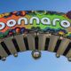 Bonnaroo Reveals Dates for 2025 Festival: How to Get Tickets