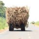 Cane farmers oppose introduction of VAT transportation