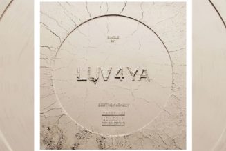 Destroy Lonely Releases Long-Awaited "LUV 4 YA"