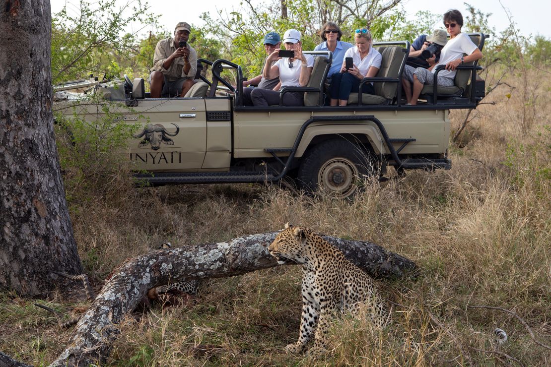 "Bucket list" trips like South African safaris have been filled to capacity as travelers return post-pandemic.