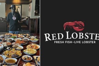 Flavor Flav orders entire Red Lobster menu in effort to save company