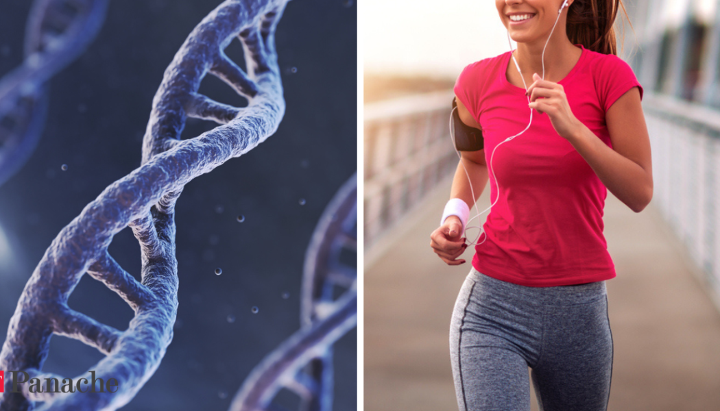 Genetics vs lifestyle: How healthy living can extend your lifespan