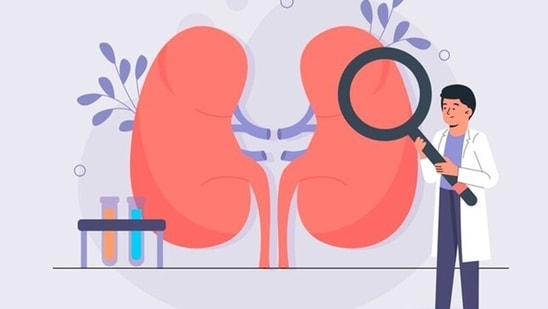 Kidney health can be compromised by various factors, including lifestyle choices and medical conditions. (Freepik)