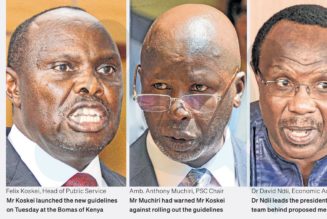 Parastatal reforms split PSC, State House teams