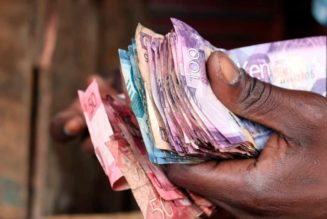 Shilling rallies to 15-month high on lower dollar demand