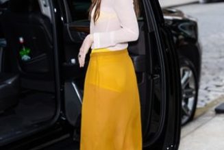 The Unexpected Summer Color Combo That's Dakota Johnson–Approved