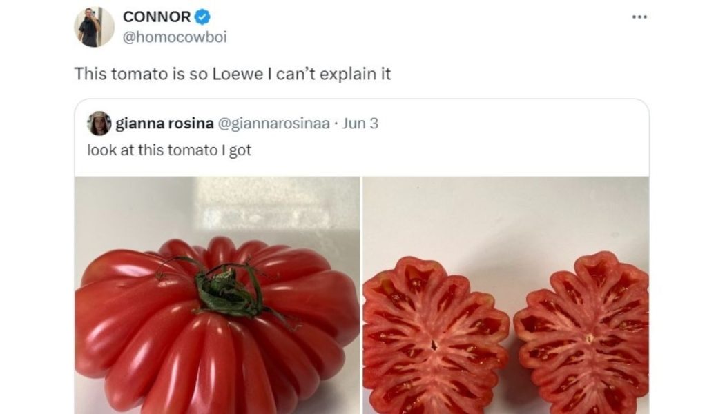 Three experts weigh in on what the viral Loewe tomato clutch reveals about the evolving face of luxury fashion