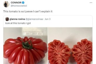 Three experts weigh in on what the viral Loewe tomato clutch reveals about the evolving face of luxury fashion