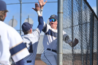 Tiger frosh helps pitch team into state title game