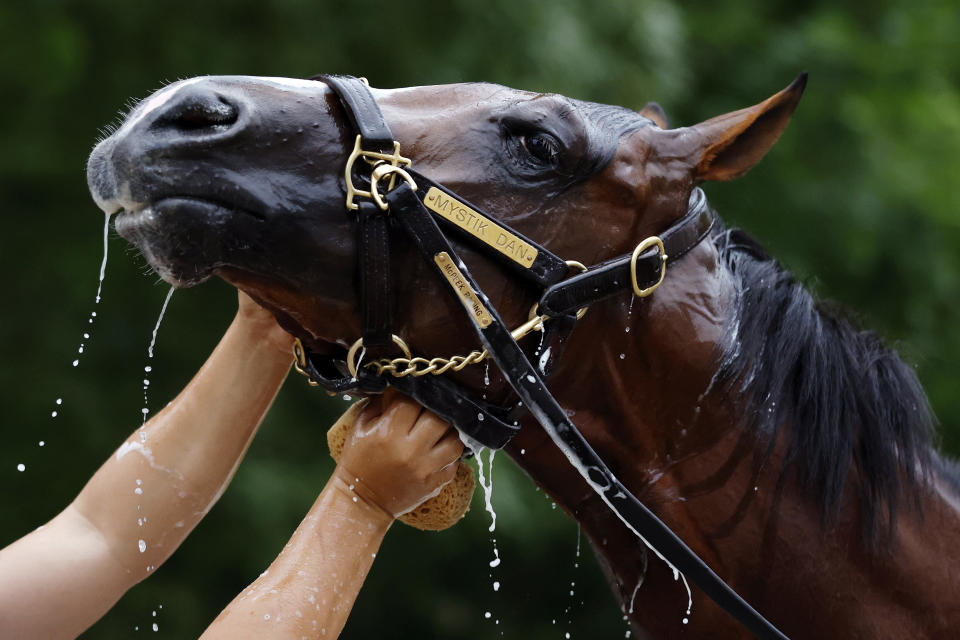 (Sarah Stier/Getty Images)