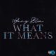 Yung Bleu – What It Means — NaijaTunez