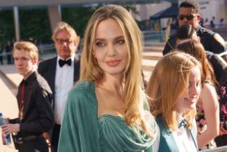 Angelina Jolie Wore the Classic Bag Trend I'd Pick Over a Birkin