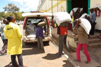 Cheap fertiliser gets Sh2.5bn extra in mini-budget