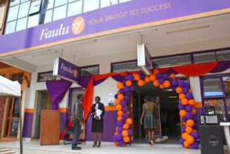 Faulu Microfinance Bank launches money market fund