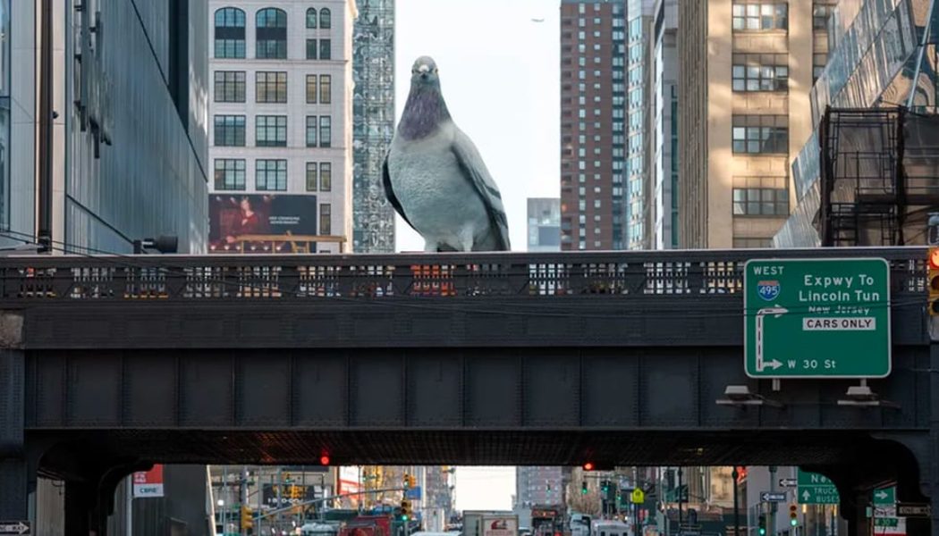 Giant Pigeon Sculpture Lands at the High Line in New York