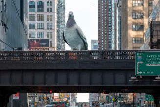 Giant Pigeon Sculpture Lands at the High Line in New York