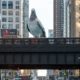 Giant Pigeon Sculpture Lands at the High Line in New York