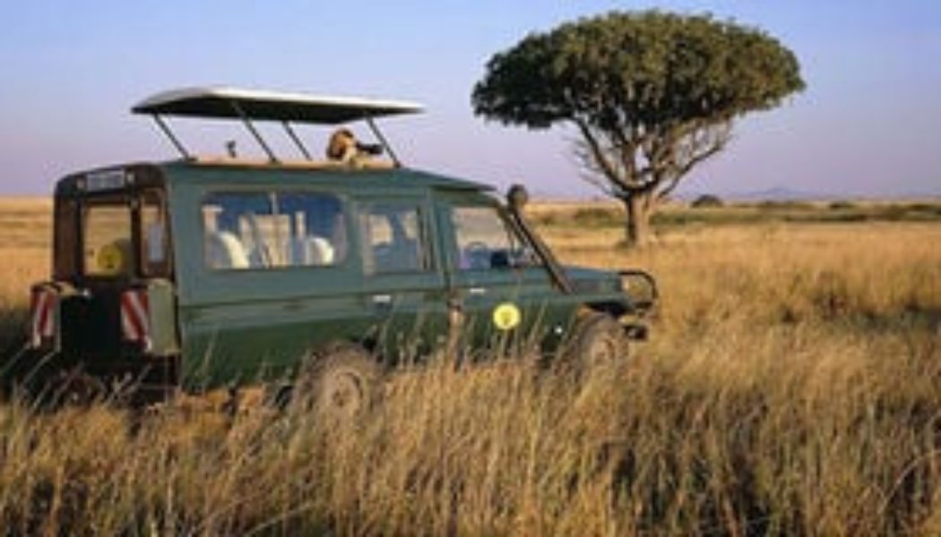 Higher Maasai Mara game park fees send tourists to Serengeti as season starts