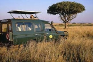 Higher Maasai Mara game park fees send tourists to Serengeti as season starts