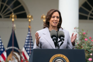 How "DEI" Is The New "N-Word" In Attacks On Kamala Harris