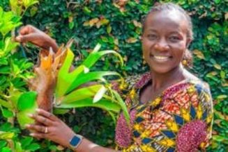 How I squeezed over 100 potted plants on an eighth of land in my Karen home