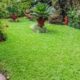 'How I transformed my city home with Zimbabwe grass'