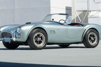 Iconic 1964 Shelby 289 Cobra "Snake Charmer" Surfaces at Auction